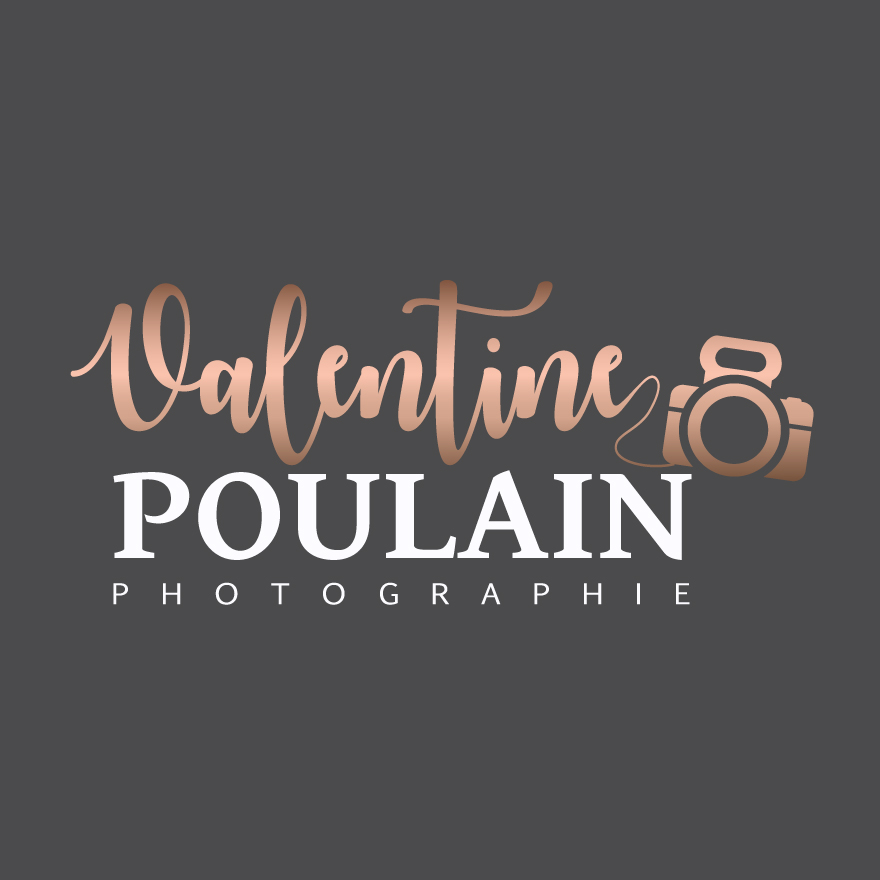 Logo Valentine POULAIN