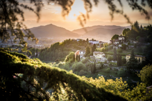 Article Lombardie