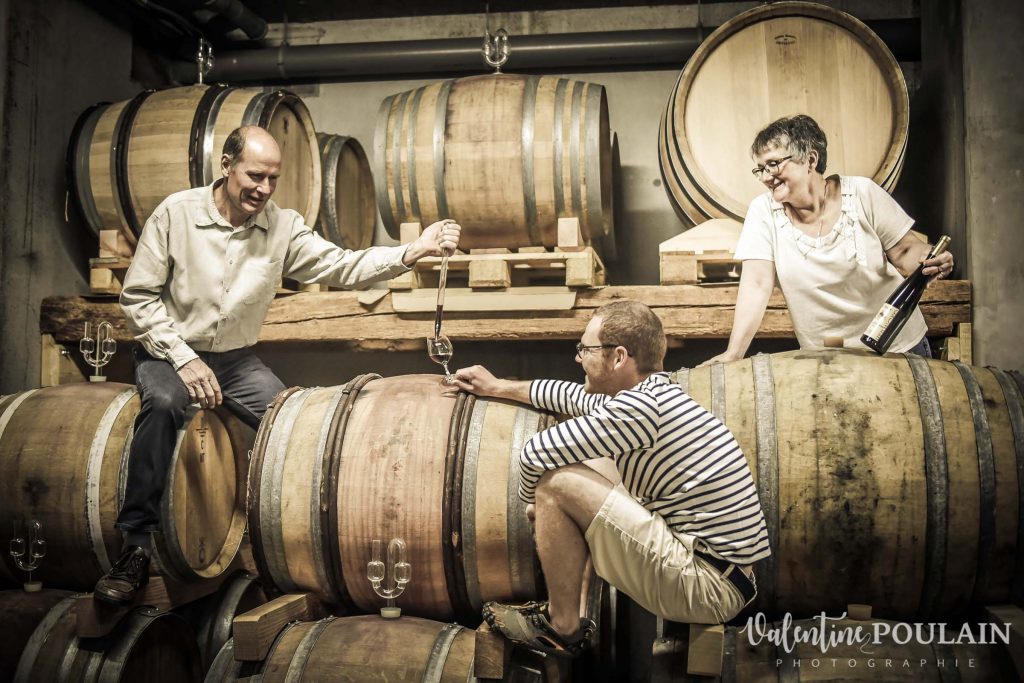 Domaine viticole Hebinger bariques