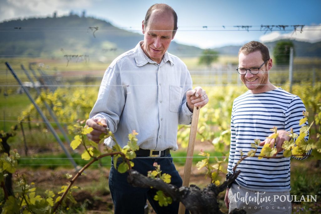 Domaine viticole Hebinger - ébourgeonnage vignes