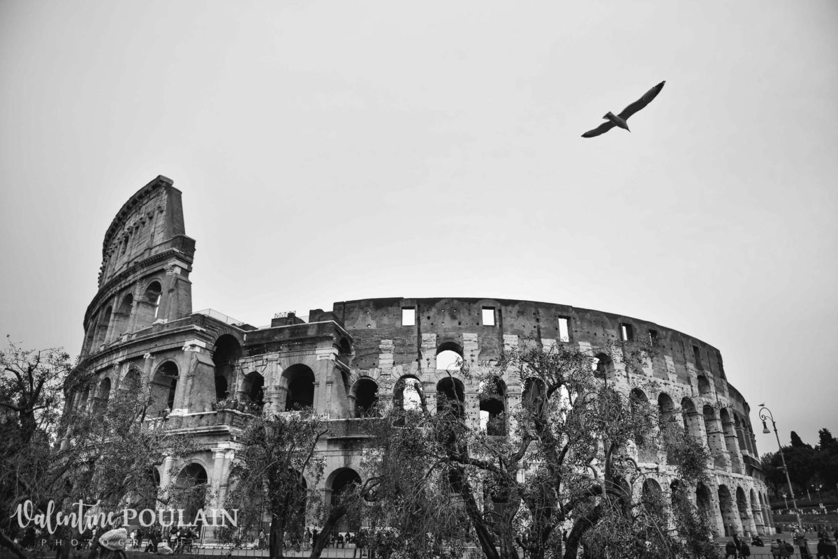 Rome Italie - Valentine Poulain Coliseum