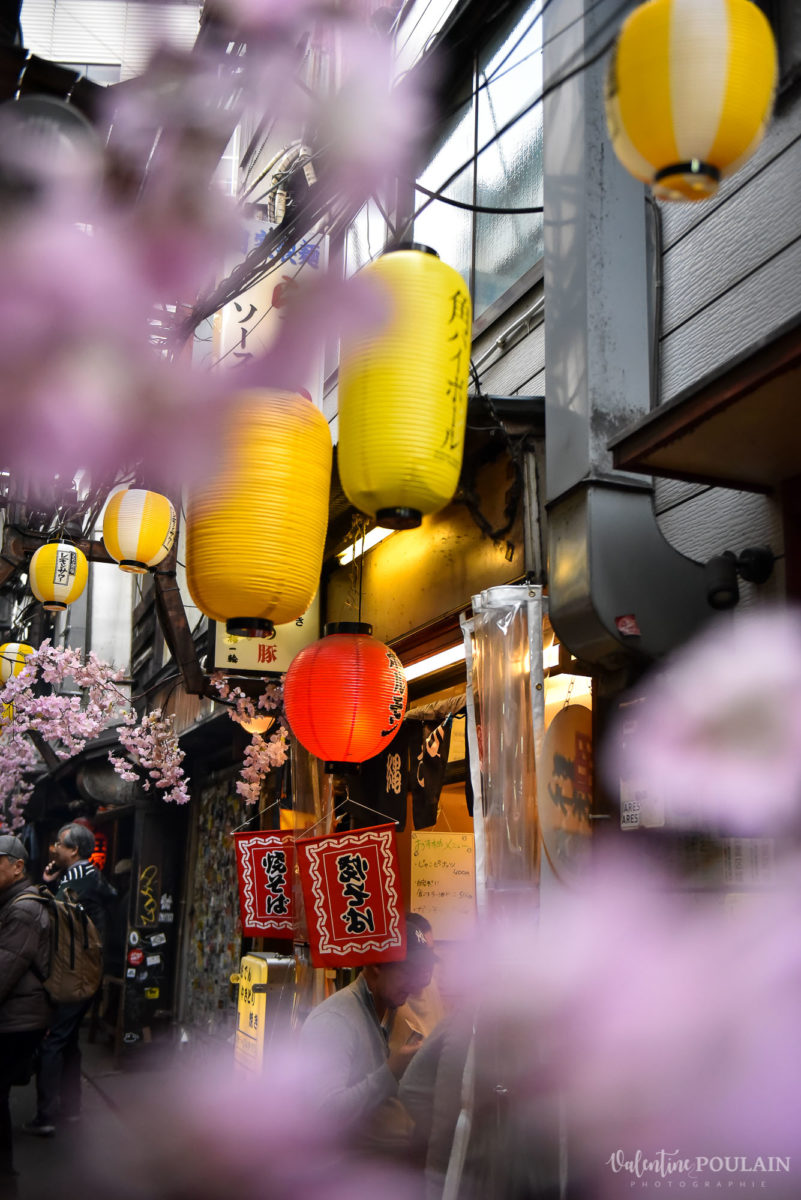 JAPON Tokyo Kyoto - Valentine Poulain ruelle
