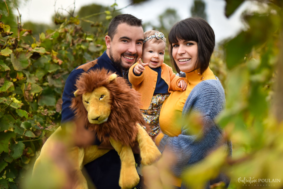famille lion automne - Valentine Poulain