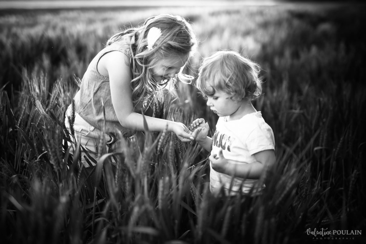 Séance photo Famille champs blé - Valentine Poulain coccinelle n&b