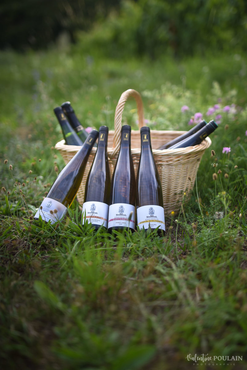 panier photo corporate Domaine vigneron - Valentine Poulain